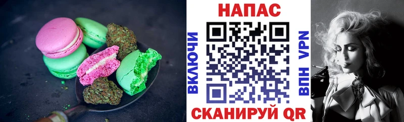 как найти закладки Славск Canna-Cookies марихуана