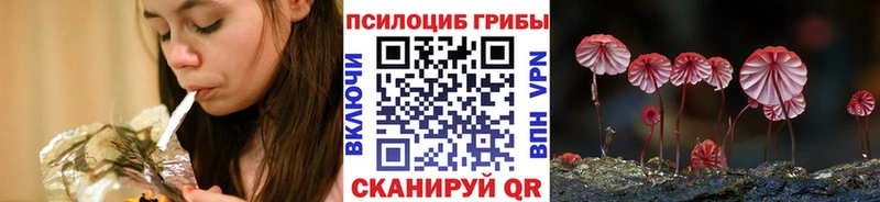 Галлюциногенные грибы Cubensis  Славск 